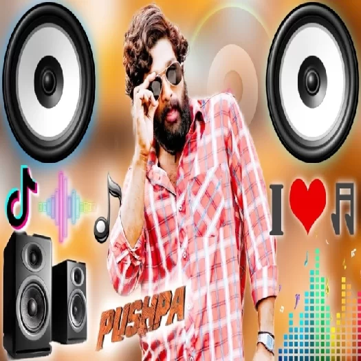 Teri Jhalak Asharfi Srivalli New Hindi Viral Dj Remix Song-(GoMyMp3.Com) Poster